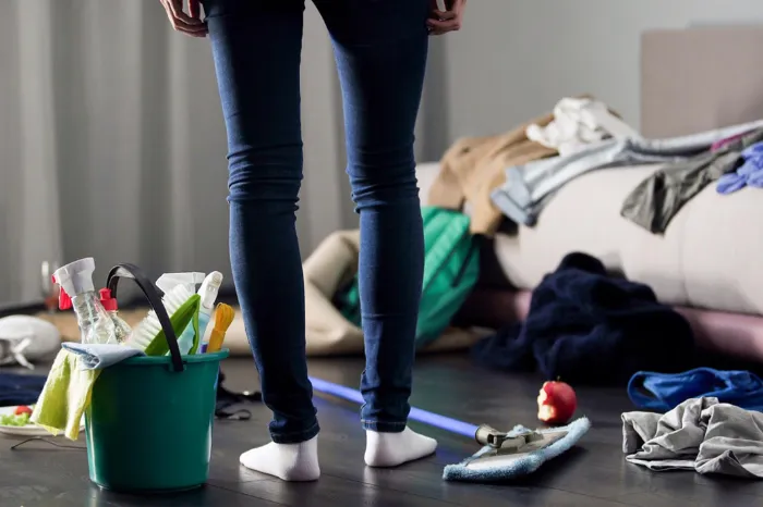 Hoarder Home Cleanup